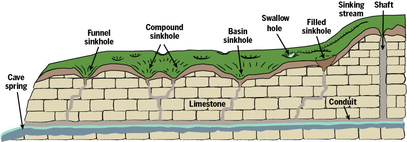 Solution features characteristic of karst terrains (Hasenmueller and Powell, 2005).