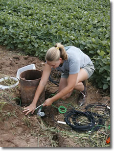 Photo showing woman installing hydrologic instrument at edge of a bean field.