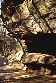 Photo showing outcrop of sandstone at Turkey Run State park.