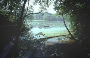 Photo showing Spring Mill Lake.