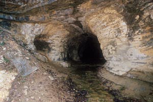 Image of cave entrance.