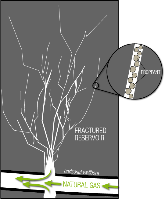 Schematic illustration of fractures in a natural-gas-bearing shale reservoir. The proppant (usually sand) holds the fractures open to allow natural gas to flow from the reservoir to the wellbore. The fracture density is likely denser than what is shown. Illustration not to scale.