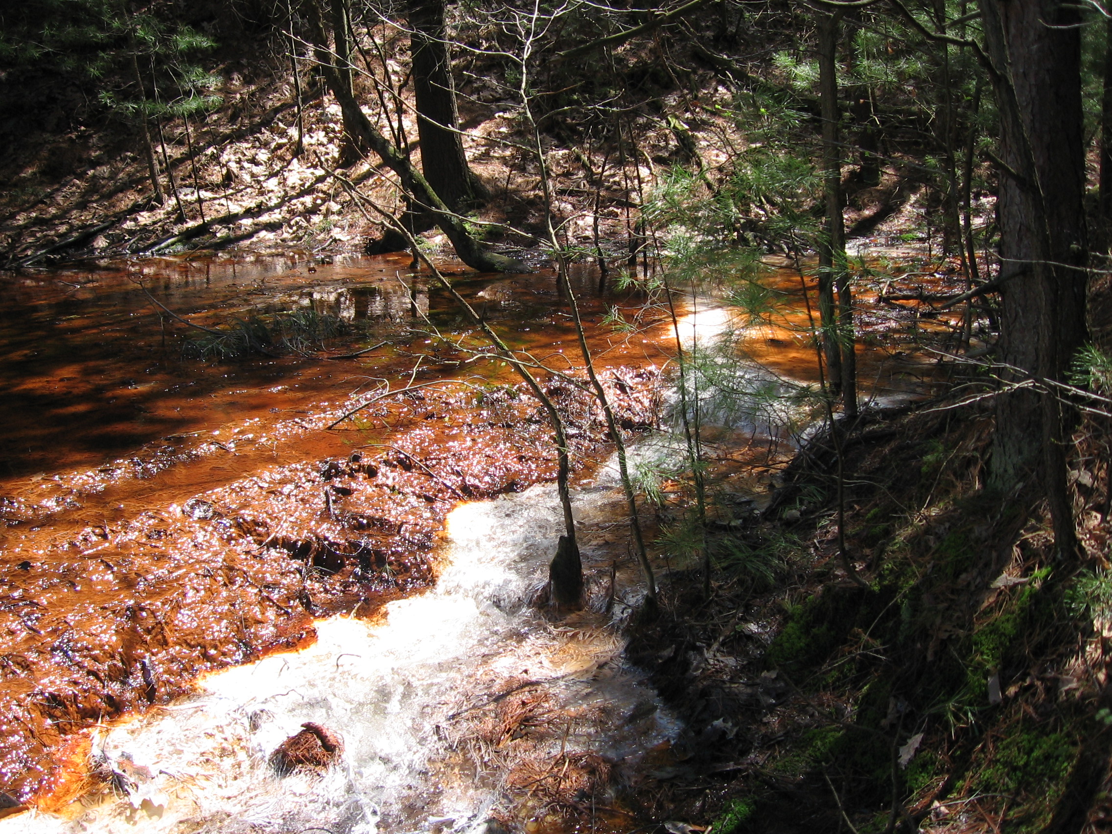 A large spring of acid mine drainage that issues from the base of a spoil deposit.