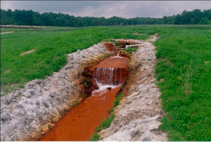 Figure 2. Anoxic limestone drain at the Midwestern reclamation site, Pike County, Indiana. Successful revegetation of the site is also shown in the area surrounding the ALD. Photo by Denver Harper.