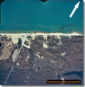 Aerial photograph of Indiana Dunes State Park, with bacterial plume entering Lake Michigan from Dunes Creek.