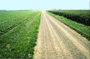 Photo of soybean and corn fields on the flat Tipton Till Plain of central Indiana.