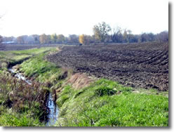 Photo showing stream adjacent to farmland.