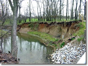 Photo showing bank erosion next to stream.