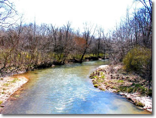 Photo showing a stream with riparian vegetation.